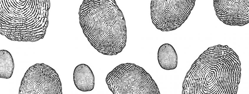 Gel Lifters for Fingerprints, Palms and Impressions Shop Online