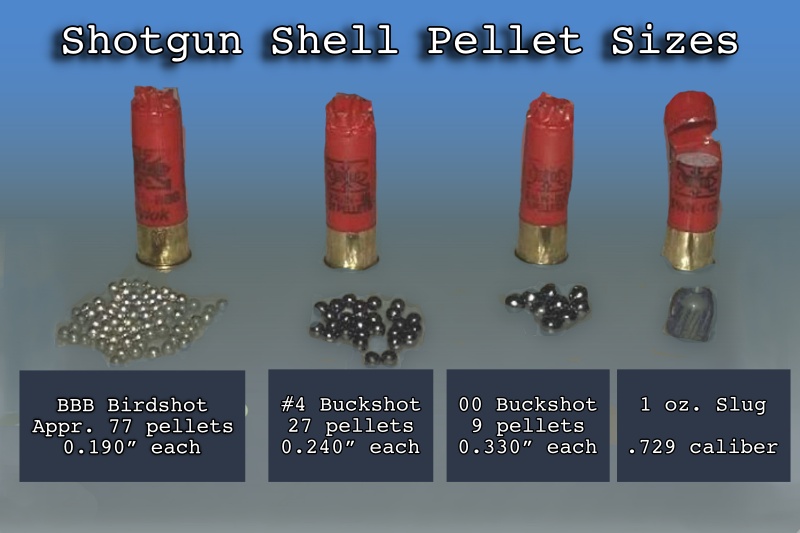 how many pellets in a shotgun shell        <h3 class=